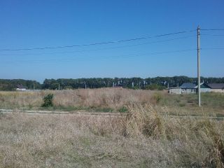 Продам участок земли разумный торг под личное подсобное хозяйство фото 2 Курчанская