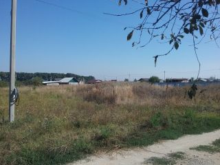 Продам участок земли разумный торг под личное подсобное хозяйство фото 3 Курчанская