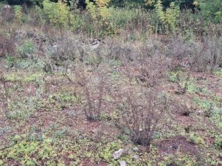 Продаю нежилое помещение фото 19 Ижевск