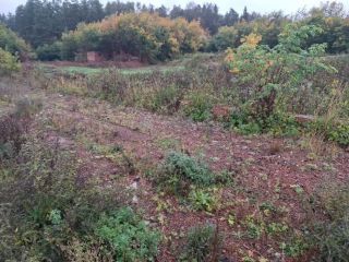 Продаю нежилое помещение фото 20 Ижевск