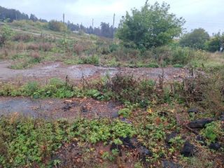 Продаю нежилое помещение фото 25 Ижевск