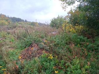 Продаю нежилое помещение фото 26 Ижевск