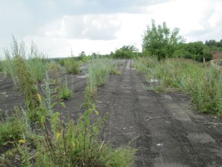 Продам нежилое помещение подключена канализация фото 14 Ижевск