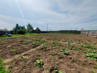 Продаю дом с мебелью с плодоносящим садом фото 31 Красноярск