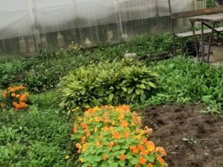 Продается земельный участок имеется свидетельство на право собственности удобный подъезд фото 2 Хабаровск