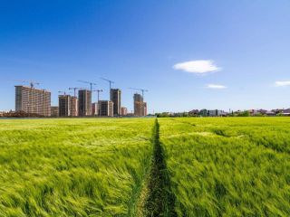 Продается участок земли фото 2 Краснодар