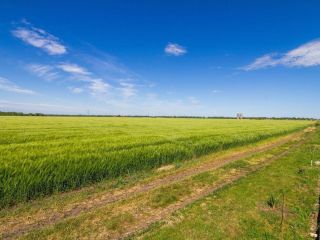 Продается участок земли фото 3 Краснодар