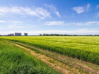 Продается участок земли фото 4 Краснодар