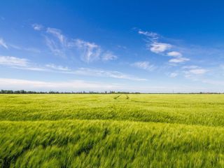 Продается участок земли фото 6 Краснодар