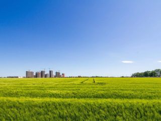 Продается участок земли фото 7 Краснодар