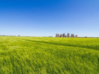 Продается участок земли фото 8 Краснодар