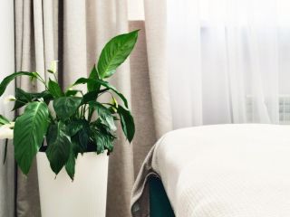 Продаю двухкомнатную квартиру ремонт по авторскому проекту с мебелью фото 19 Сочи