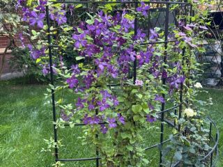 Продаю кирпичный коттедж с мебелью подключена канализация фото 6 Истра