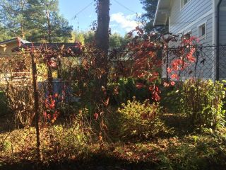 Продаю деревянный дом есть электричество с мебелью фото 27 Павловский Посад