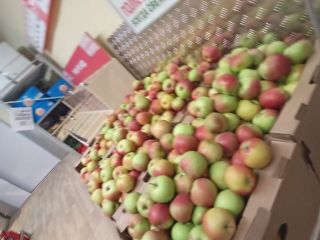 Сдается магазин есть пожарная сигнализация фото 20 Серпухов