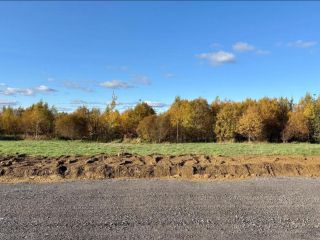 Продам участок земли рядом асфальт фото 3 Всеволожск