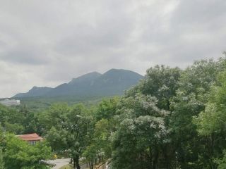 Продам помещение свободного назначения фото 9 Железноводск