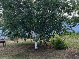 Продается деревянный дом документы на руках фото 5 Волгоград