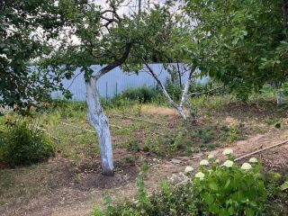 Продается деревянный дом документы на руках фото 6 Волгоград