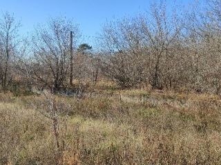 Продается земельный участок рядом асфальт с коммуникациями фото 2 Ижевск