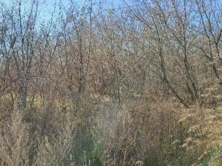 Продается земельный участок рядом асфальт с коммуникациями фото 8 Ижевск