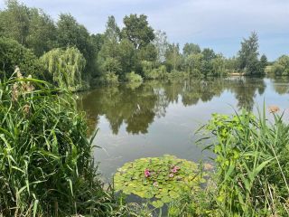 Продаю блочный коттедж асфальтная дорога фото 16 Балашиха