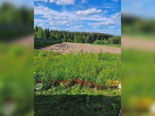 Продам кирпичный коттедж фото 3 Сыктывкар