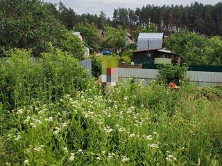 Продается деревянный дом с плодоносящим садом в садовом некоммерческом товариществе фото 8 Обнинск