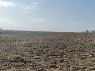 Продается участок земли рядом асфальт фото 5 Сергиев Посад