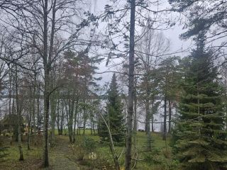 Сдам коттедж с мебелью фото 23 Приозерск