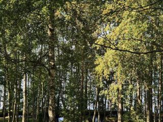 Сдам коттедж с мебелью фото 24 Приозерск