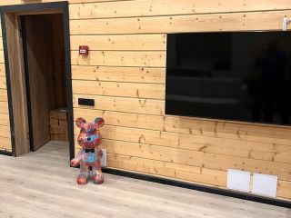 Сдам коттедж с мебелью фото 32 Приозерск