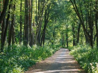 Продается нежилое помещение фото 7 Зеленодольск