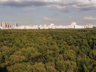 Продаю помещение свободного назначения фото 31 Москва