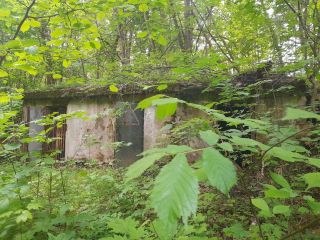 Продаю нежилое помещение круглогодичный подъезд рядом асфальт фото 6 Краснозаводск