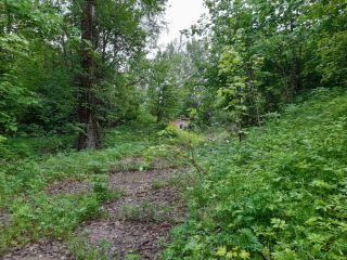 Продаю нежилое помещение круглогодичный подъезд рядом асфальт фото 13 Краснозаводск