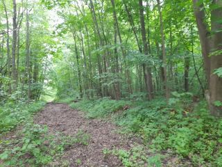 Продаю нежилое помещение круглогодичный подъезд рядом асфальт фото 14 Краснозаводск