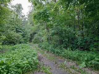 Продаю нежилое помещение круглогодичный подъезд рядом асфальт фото 15 Краснозаводск