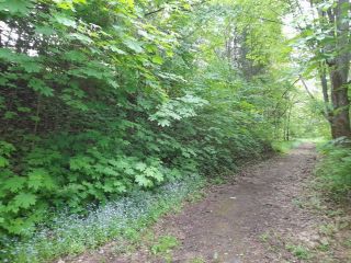 Продаю нежилое помещение круглогодичный подъезд рядом асфальт фото 16 Краснозаводск