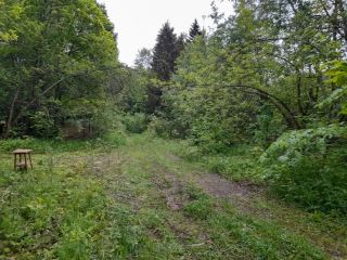 Продаю нежилое помещение круглогодичный подъезд рядом асфальт фото 17 Краснозаводск