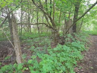 Продаю нежилое помещение круглогодичный подъезд рядом асфальт фото 22 Краснозаводск