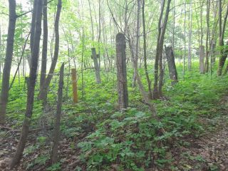 Продаю нежилое помещение круглогодичный подъезд рядом асфальт фото 23 Краснозаводск