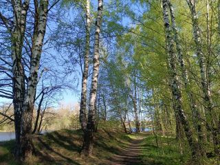 Продаю блочный коттедж под индивидуальное жилищное строительство асфальтная дорога фото 21 Балашиха