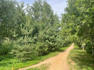 Продается блочный коттедж асфальтная дорога под индивидуальное жилищное строительство фото 17 Балашиха