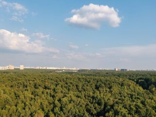 Продаю помещение свободного назначения фото 29 Москва