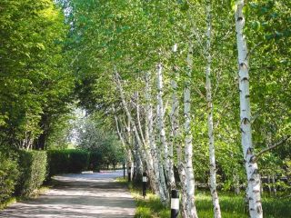 Продам бизнес видеонаблюдение имеется баня фото 18 Астрахань