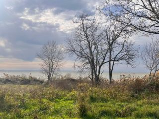 Продается земельный участок кирпичный электричество подведено фото 8 Краснодар