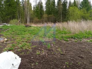 Продам двухкомнатную квартиру отличное место установлены пластиковые окна фото 12 Деревня Перовка