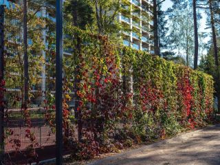 Продаю студию видеонаблюдение фото 23 Санкт-Петербург