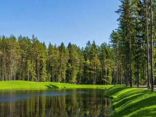 Продается деревянный дом имеется охрана фото 2 Всеволожск